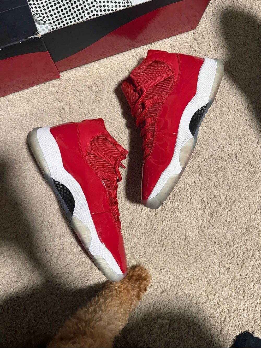 Jordan 11 ‘Win Like 96’